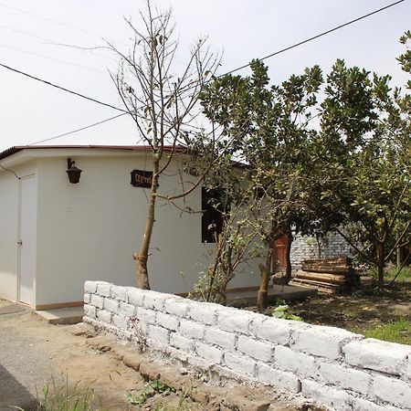 Bungalows Payancas De Tato バランカ エクステリア 写真