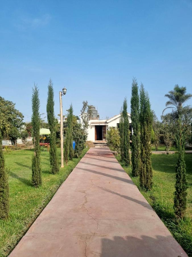 Bungalows Payancas De Tato バランカ エクステリア 写真