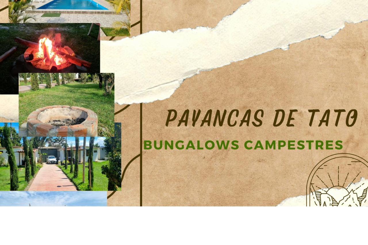Bungalows Payancas De Tato バランカ エクステリア 写真
